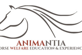 CHI E’ IL COMPORTAMENTISTA EQUINO