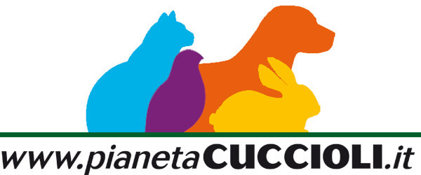 Il Portale del Cavallo Il Portale del Cavallo