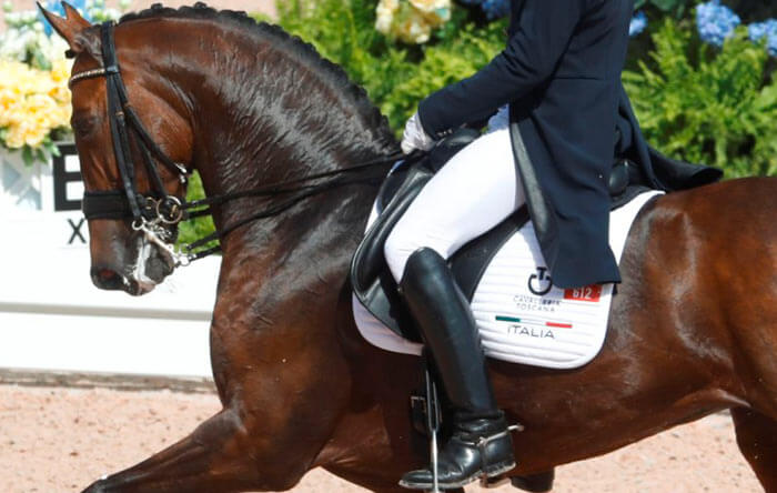 Buone prove degli azzurri al CPEDI3* e al CDI di San Giovanni in Marignano