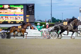 Il Marangoni va a Blackflash Bar dopo l’utilizzo del VAR – Vernissage Grif fa il RECORD della pista, è un missile 1,09.4