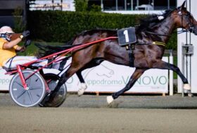 Una grande Domenica all’ippodromo di Vinovo con il G.P. Marangoni