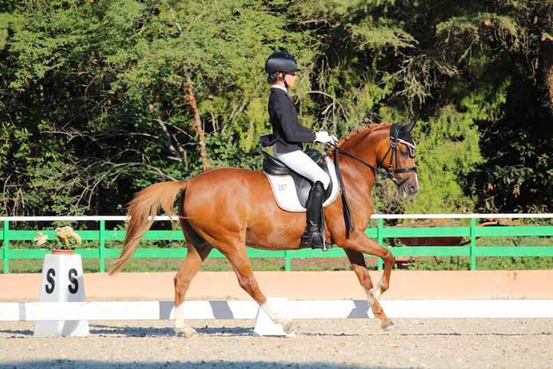 Bene Spoenle e Camerlengo a Opglabbeek