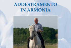 Metodo di Equitazione e Isodinamica per Equitare con Sentimento. LA PRATICA