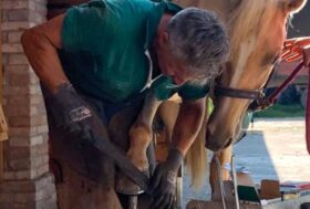 PROFESSIONAL HOOF CARE. Quando la qualità italiana è ideata da un maniscalco professionista
