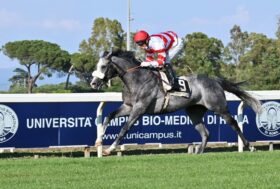 Decreto Rilancio, FILIERA IPPICA : TENTATIVO RIFORMA IMPROVVISATA NO AFFIDAMENTO SETTORE AL CONI