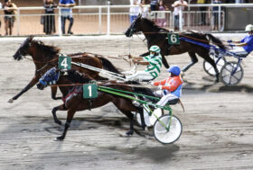 Cesena Trotto, resoconto corse del 15 agosto