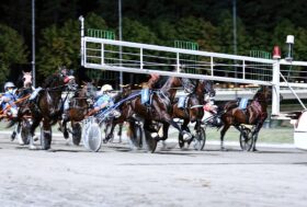 Cesena Trotto, resoconto premio Francesco Del Cossa
