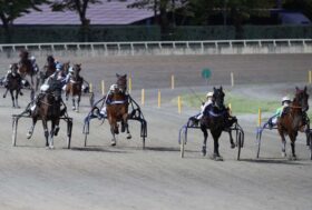 Gruppo Ippodromi Associati:  manifestazione l’8 settembre. MIPAF, gravi inadempienze.