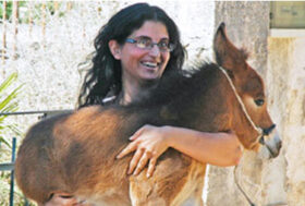 IMPRINTING: COS’E’?