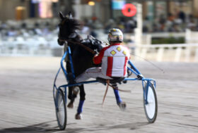 Cesena Trotto, resoconto Premio Teleromagna