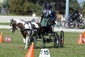 Successo a Modena per il Campionato Italiano Attacchi di combinata e Coppa delle regioni