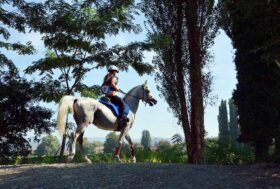 Per il COVID-19 la Mostra Nazionale del Cavallo da’ appuntamento al 2021