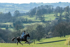Impegni degli azzurri in Gran Bretagna, Stati Uniti e Italia