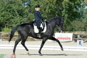 Campionati Italiani Dressage: a Tatiana Miloserdova il titolo tricolore tecnico