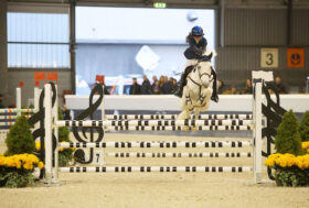 Online le classifiche di qualifica al National Pony Show Verona Arena Fise 2020