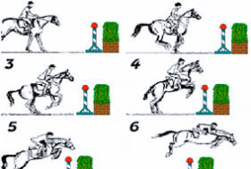 LA DINAMICA DEL SALTO