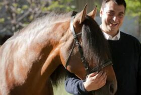 IL GALOPPO: Spunti e consigli per una buona e corretta equitazione