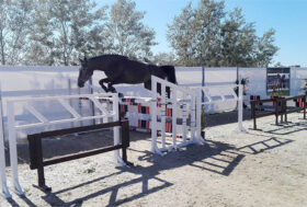 A Tanca Regia record di cavalli iscritti al 58° Premio Regionale: ben 257