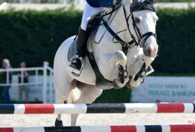 Coppa Italia Pony: online le classifiche aggiornate al mese di settembre