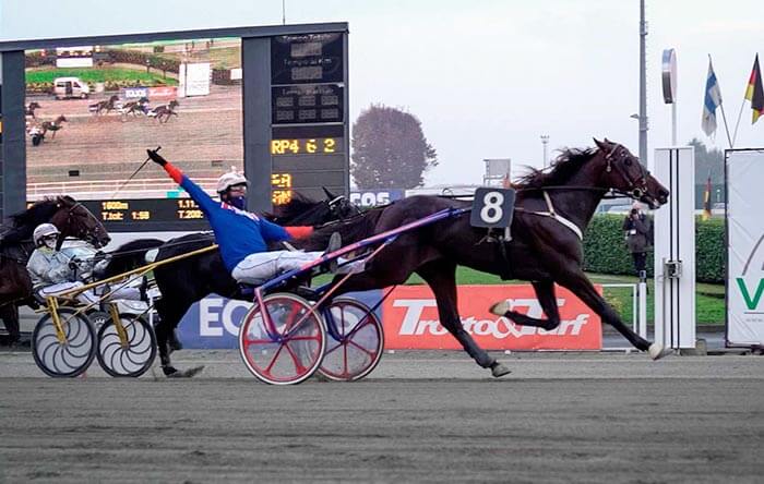 Ippica: Anact, “Dopo l’iva agevolata, l’aumento del montepremi del 10%, un ottimo segnale da parte del Ministro Lollobrigida e del Sottosegretario La Pietra, verso l’allevamento”