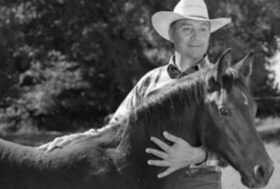 I° STAGE SULLA DOMA La strada più importante da percorrere con il tuo cavallo: dalla nascita alla doma