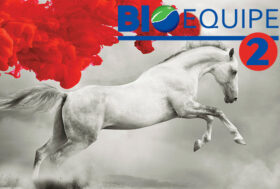 TOP PERFORMANCE 2: Trattamento specifico per cavalli sportivi in competizione, per il miglioramento delle capacità atletiche