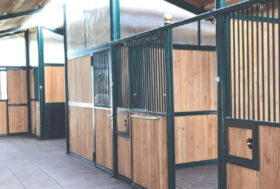 Quali caratteristiche deve avere un buon box per cavalli?