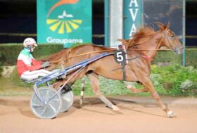 Il CAVALLO TROTTATORE ITALIANO VALZER DI POGGIO INSUPERABILE…..