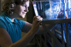 Boehringer Ingelheim Italia lancia il sito www.365G.it, per vivere felici e in salute con il proprio cane tutti i giorni dell’anno. Le pulci possono infestare anche l’uomo?