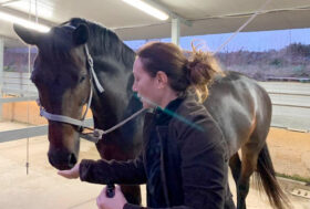 Dott.ssa Elena Traversa Amazzone ed esperta di Oli Essenziali, a cosa servono e come usarli