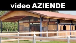 Video Aziende