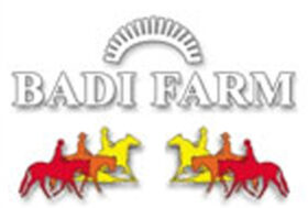 Badi Farm SRL