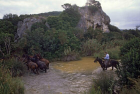 Passione Maremma Wine&Food Shire 2014: e cosa ne pensano gli italiani? Paolo Massobrio l’ha chiesto a 100 personaggi famosi, estimatori del “ben vivere”