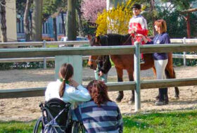 Corso per Assistenti in Riabilitazione Equestre Edizione 2014.