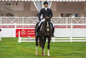 Roberto Rotatori al Mondial du Lion d’Angers.
