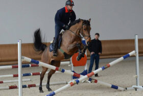 Andrew Nicholson – Stefano Brecciaroli: il maestro e l’allievo.