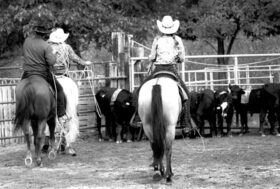 3 2 1 Team Riders presenta il Nuovo Settore Stock