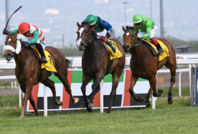 Prima domenica di corse all’Ippodromo Capannelle con il pupillo di Max Allegri, Mr Darcy, che torna nel Premio Campidoglio