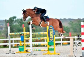 Salto ostacoli: apertura record a Tanca Regia con 280 binomi