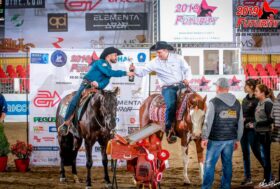 Irha/Nrha Futurity 2020. A tutto reining, a tutto tondo