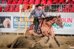Campionato italiano Fise/Irha, day 3-4-5