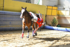 Covid 19: modifica protocollo attuativo manifestazioni di Horseball