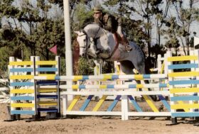 Andrea Pantano “Nella mia FISE meno costi e più servizi, meno burocrazia e più semplificazione”