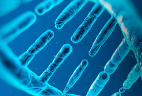 IN ATTESA DEL TESTO DEL DECRETO SULLA PRESCRIZIONE DI FARMACI AD USO UMANO PER GLI ANIMALI DA AFFEZIONE – UN COMUNICATO STAMPA DI FNOVI