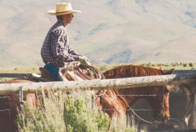 MONTA AMERICANA in S.E.F.