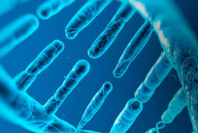 Cani pericolosi: FNOVI commenta la proposta di legge al Parlamento della Lombardia