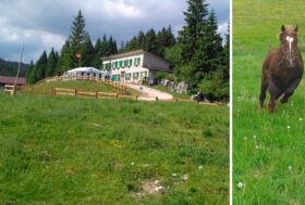 TPR i nostri Giganti Buoni sono protagonisti il 31 Luglio e il 4-5 Agosto con due importanti appuntamenti