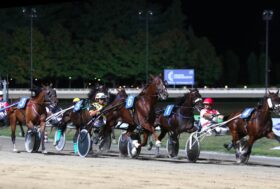 Ippodromo Cesena Trotto: Presentazione delle corse di sabato 24 Luglio 2021 – premio 64a IDS