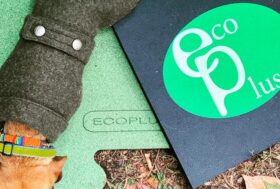 A Milano Quattrozampeinfiera il 2 e il 3 ottobre