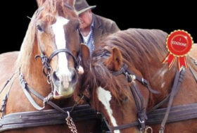 ANTEPRIMA DEGLI APPUNTAMENTI ANACAITPR AUTUNNO 2021